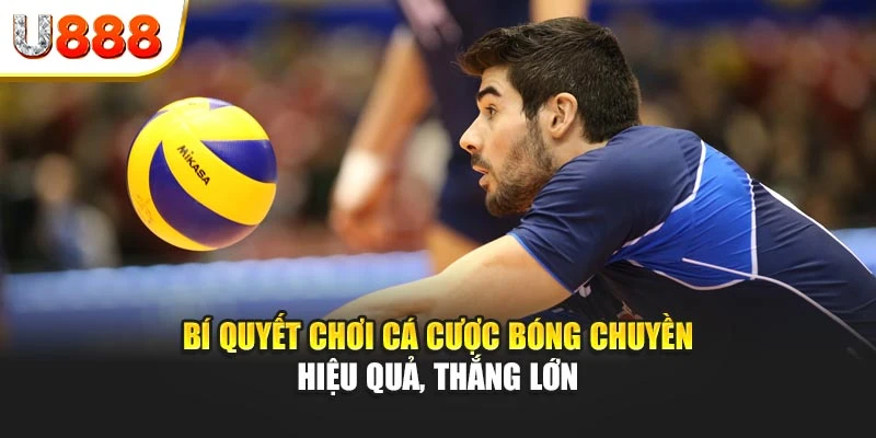 Bí quyết chơi cá cược bóng chuyền hiệu quả, thắng lớn