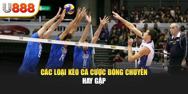 Các loại kèo cá cược bóng chuyền hay gặp