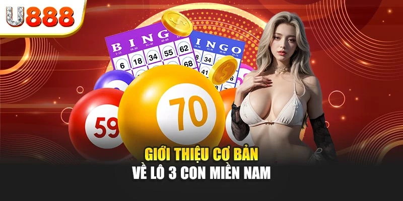 Giới thiệu cơ bản về lô 3 con miền Nam