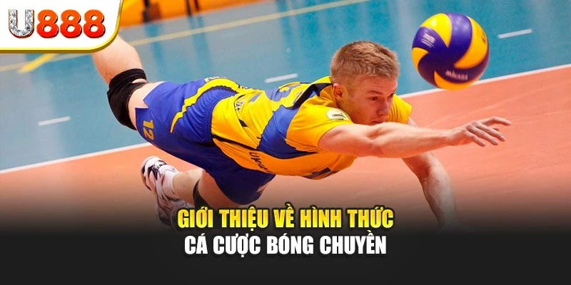 Giới thiệu cơ bản về loại hình cá cược bóng chuyền