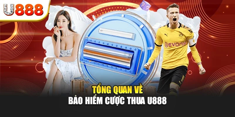 Tổng quan về bảo hiểm cược thua U888